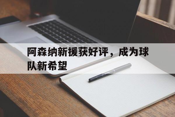阿森纳新援获好评，成为球队新希望