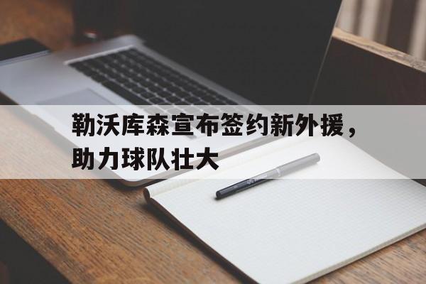 勒沃库森宣布签约新外援，助力球队壮大