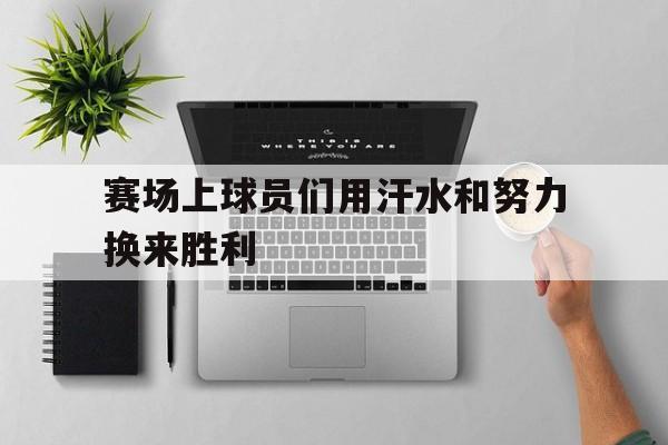 赛场上球员们用汗水和努力换来胜利