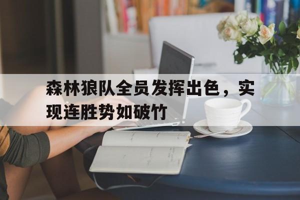 森林狼队全员发挥出色，实现连胜势如破竹
